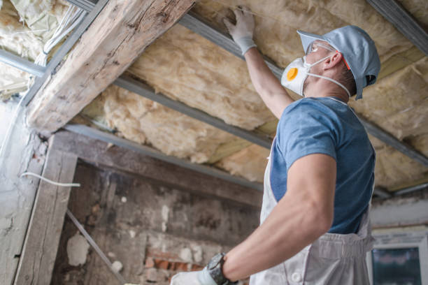Best Insulation Installation Services in Redwater, TX