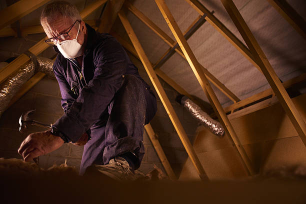 Best Insulation Installation Services in Redwater, TX